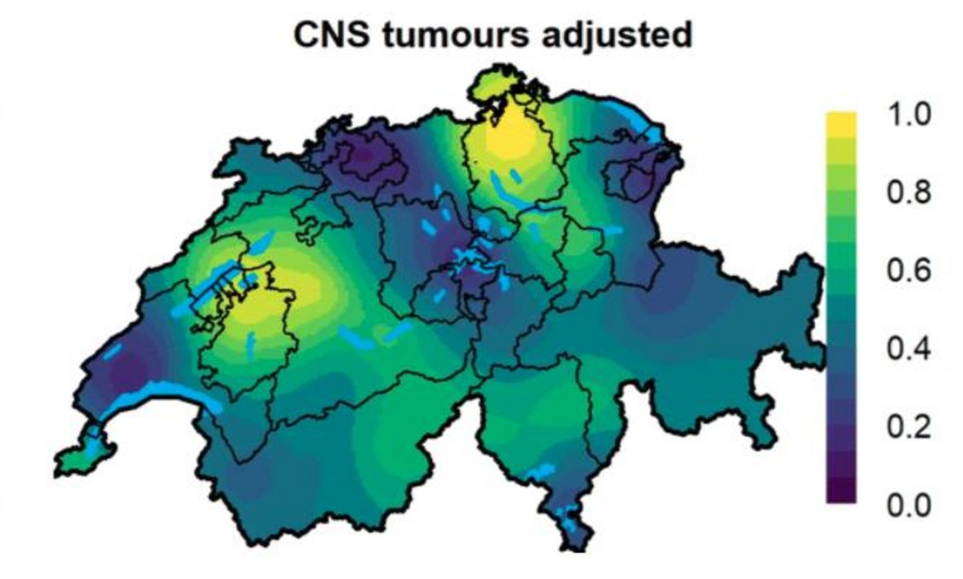 Hirntumore kommen bei Kindern in der Schweiz in gewissen Regionen häufiger vor als in anderen. (Grafik Konstantinoudis, G., Schuhmacher, D., Ammann, R.A. et al.)