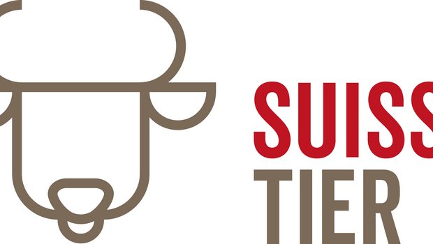 Die Kuh-Version des Logos. (Bild zVg)