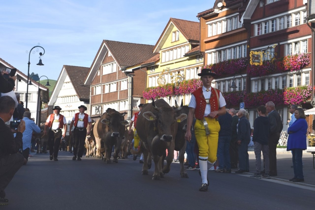 Alpzüge im Appenzellerland sind gelebte Tradition. (Bilder Stefanie Giger)