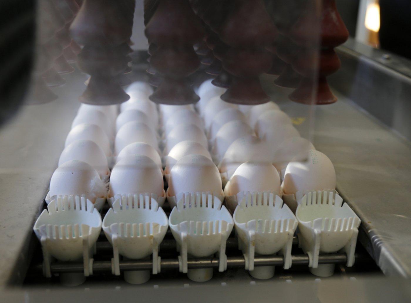 Auf Weihnachten und Ostern hin wird die Produktion erhöht. (Bild ji)