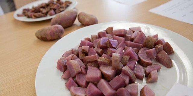 PropecieRara sucht einen Namen für die rote Knolle. (Bild ProSpecieRara)