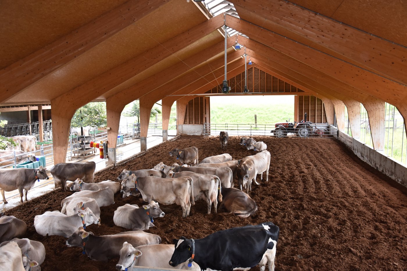 Blick von oben auf die grosszügige Liegehalle mit der Kompostmatratze.