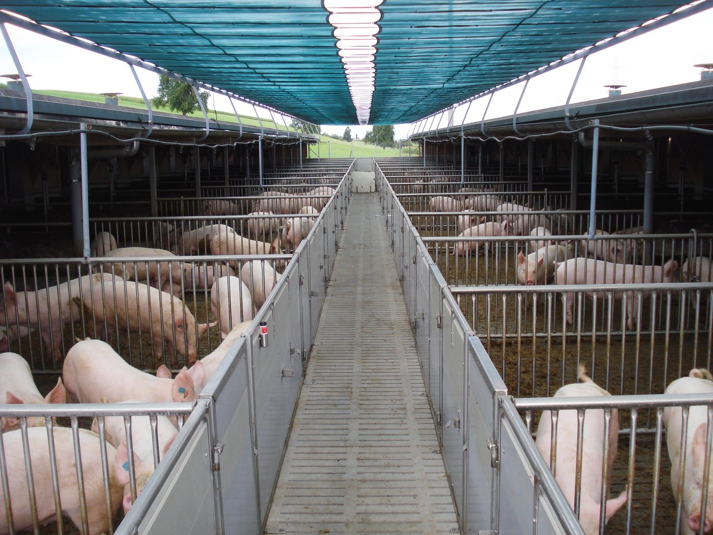 Der nächste Gesundheitsreport 2021 werde den Betrieben voraussichtlich im Frühjahr 2022 zugestellt. (Bild Suisag)