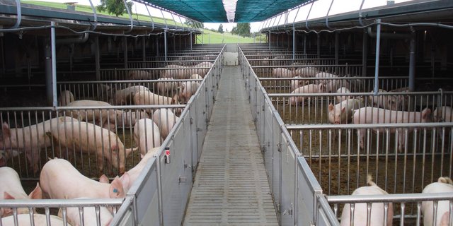 Der nächste Gesundheitsreport 2021 werde den Betrieben voraussichtlich im Frühjahr 2022 zugestellt. (Bild Suisag)