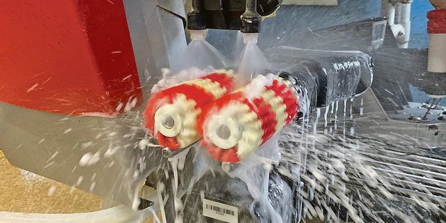 Zwischen den Melkungen wird gewaschen.(Bild zVg)