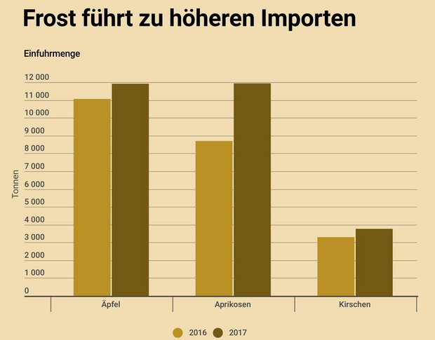 Wegen der Frostnächte im April 2017 wurden deutlich mehr Früchte importiert. (Grafik SBV)