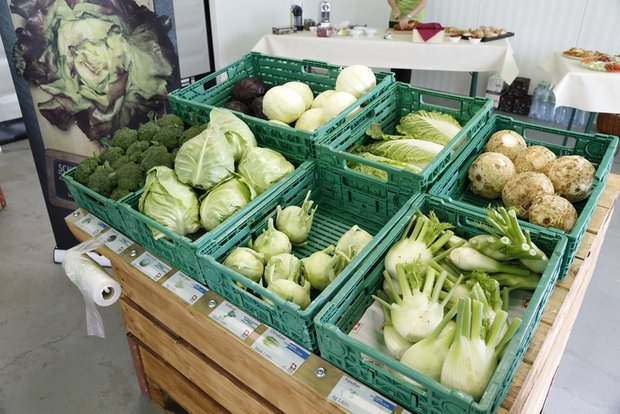 Gab es weniger als Aktion zu kaufen: Schweizer Gemüse. (Bild lid)