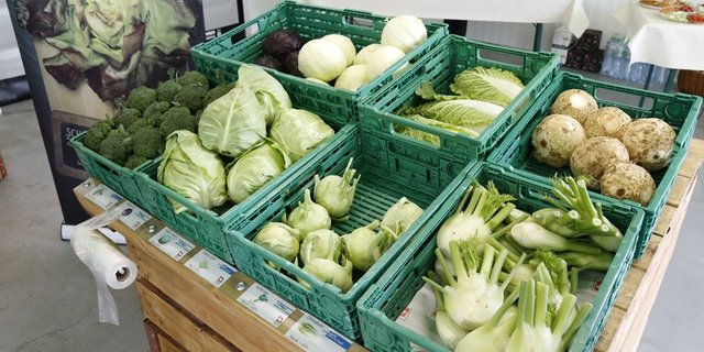 Gab es weniger als Aktion zu kaufen: Schweizer Gemüse. (Bild lid)