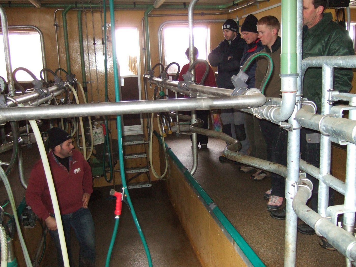 Josef Infanger zeigt seinen Melkstand mit 2×4 Fischgräten für die 39 Kühe. (Bilder Paul Küchler)