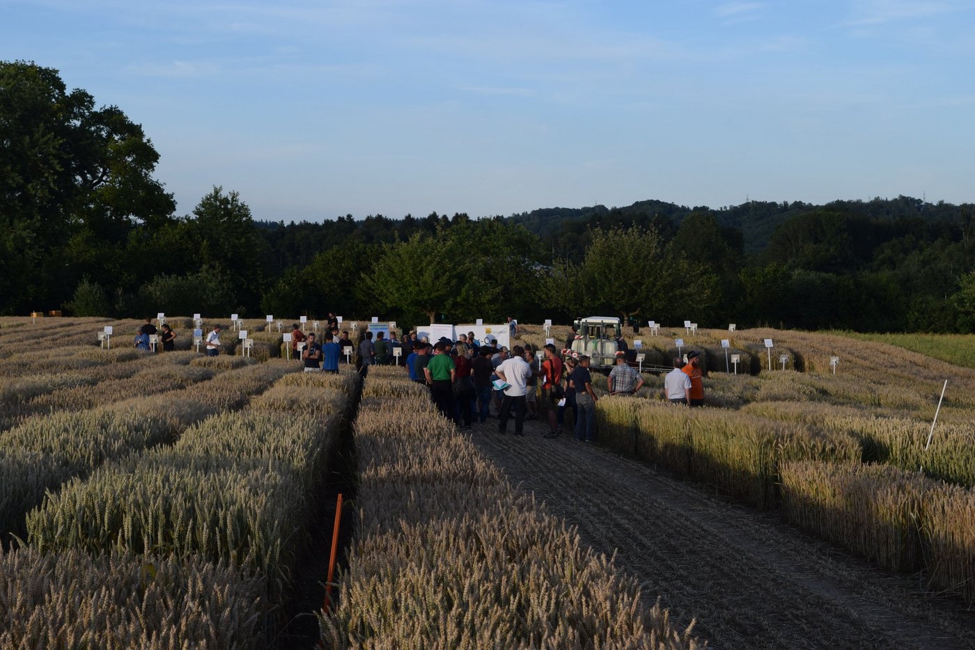Der Profiabend Ackerbau fand bei bester Witterung statt und war sehr gut besucht. (Bilder Stefanie Giger)