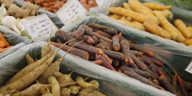 Rüebli gibt es nicht nur in der orangefarbigen Standardversion. (Bild fi)