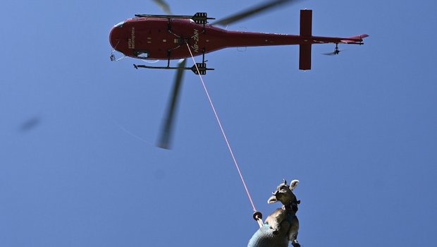 Alptagebuch Teil 5 – Helikopterflug für Guschti Raika Völlig losgelöst von der Erde: Guschti Raika hebt ab zu ihrem ersten Helikopterflug. (Bild Jasmine Baumann)