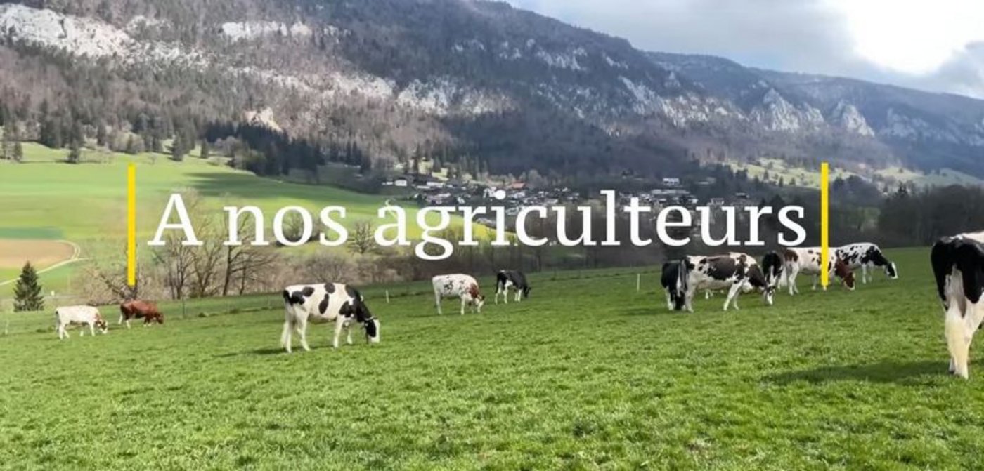 Das Video gegen die Initiativen soll das Stimmvolk mobilisieren. (Bild Screenshot Video)