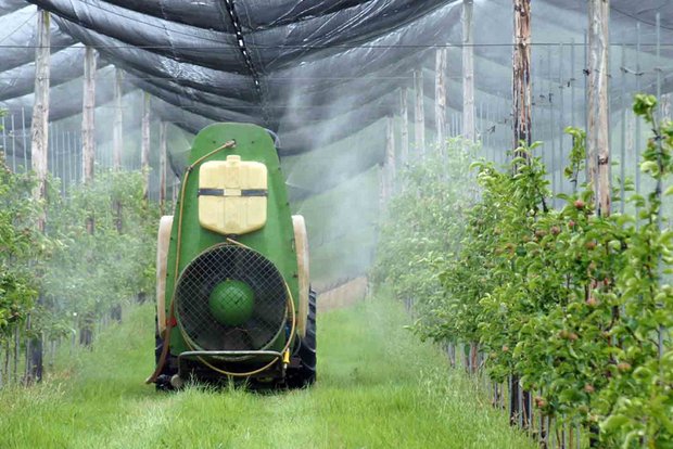 Der Bundesrat empfiehlt Ablehnung der Initiative «Für eine Schweiz ohne synthetische Pestizide». (Bild Christa Felder)