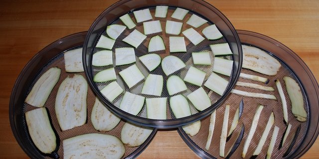 Auberginen und Zucchetti sind bereit zum Dörren. Ihr Aroma wird dabei regelrecht versiegelt und intensiver. Beim Kochen wird das Dörrgut dann wieder reanimiert und schmeckt unvergleichlich gut. (Bilder Marie-Isabel Bill)