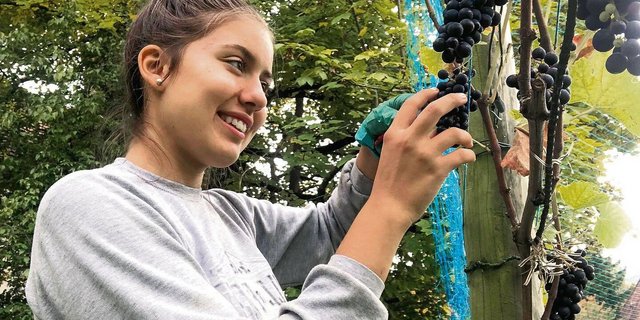 Vanessa Capo gefällt am Winzern, dass aus einer einfachen Traube etwas Edles wie Wein entsteht. 