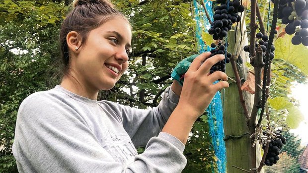 Vanessa Capo gefällt Vanessa Capo gefällt am Winzern, dass aus einer einfachen Traube etwas Edles wie Wein entsteht.