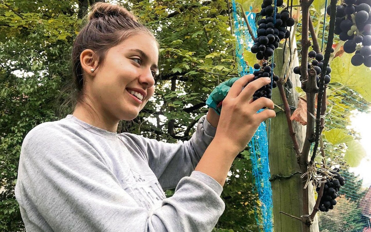 Vanessa Capo gefällt am Winzern, dass aus einer einfachen Traube etwas Edles wie Wein entsteht. 