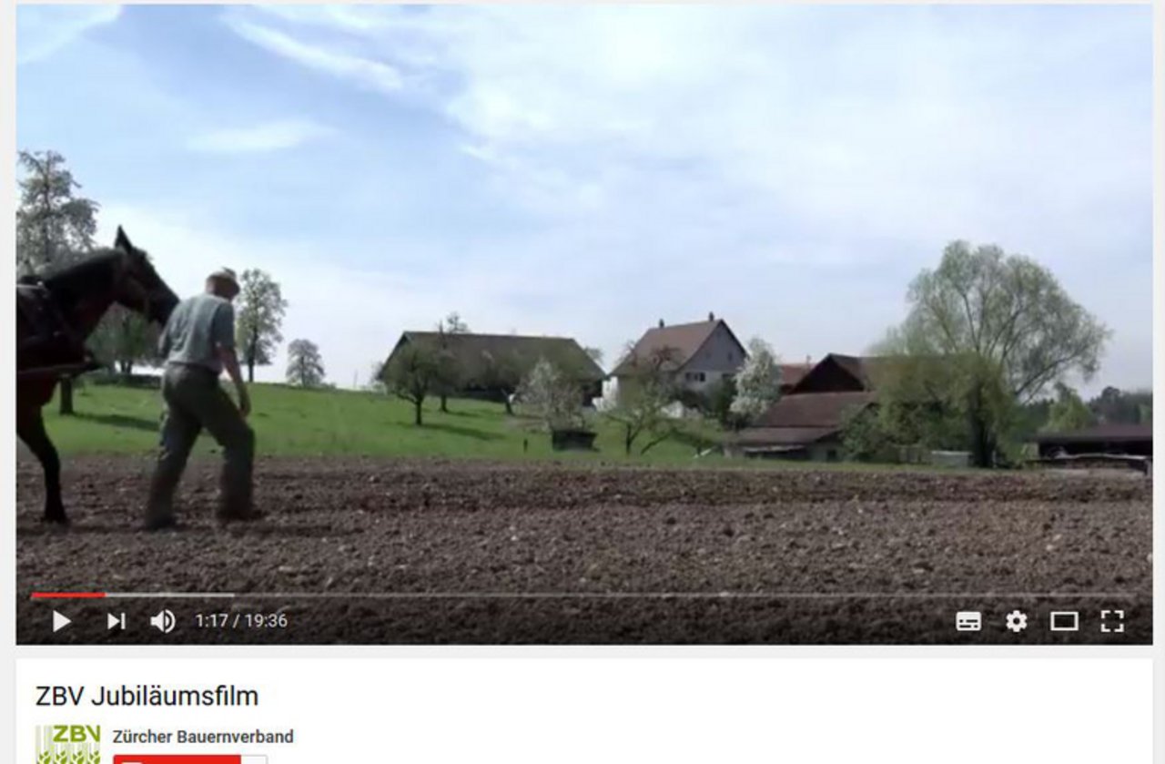 Der Film zeigt verschiedene Facetten der Landwirtschaft im Kanton Zürich auf. (Screenshot Youtube)
