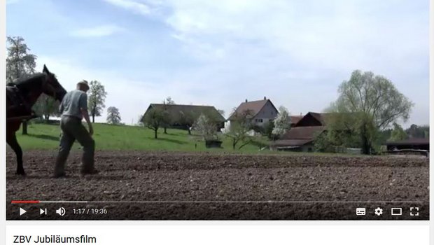 Der Film zeigt verschiedene Facetten der Landwirtschaft im Kanton Zürich auf. (Screenshot Youtube)