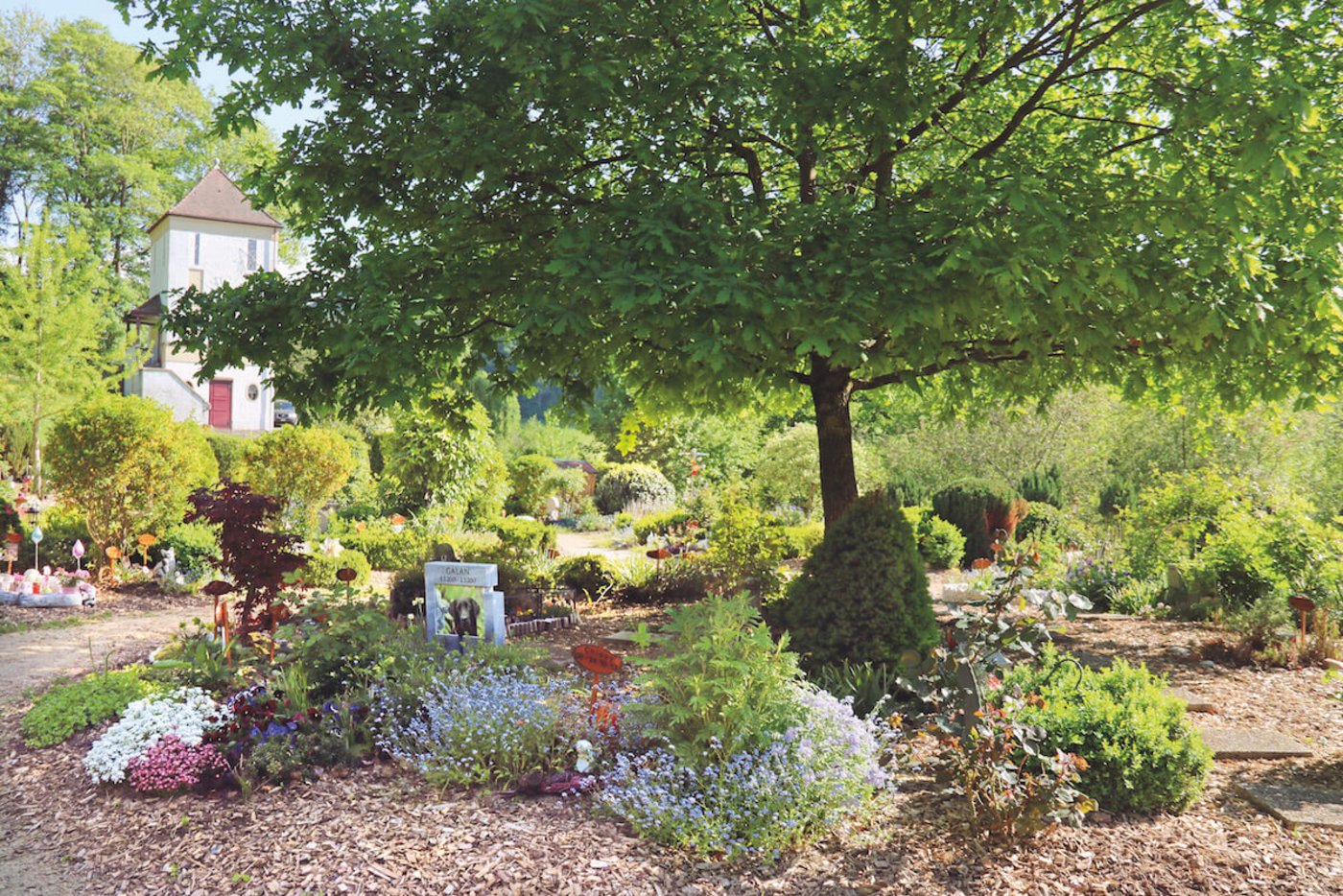 Die Gräber des Tierfriedhofs sind liebevoll geschmückt. (Foto: Benildis Bentolila)