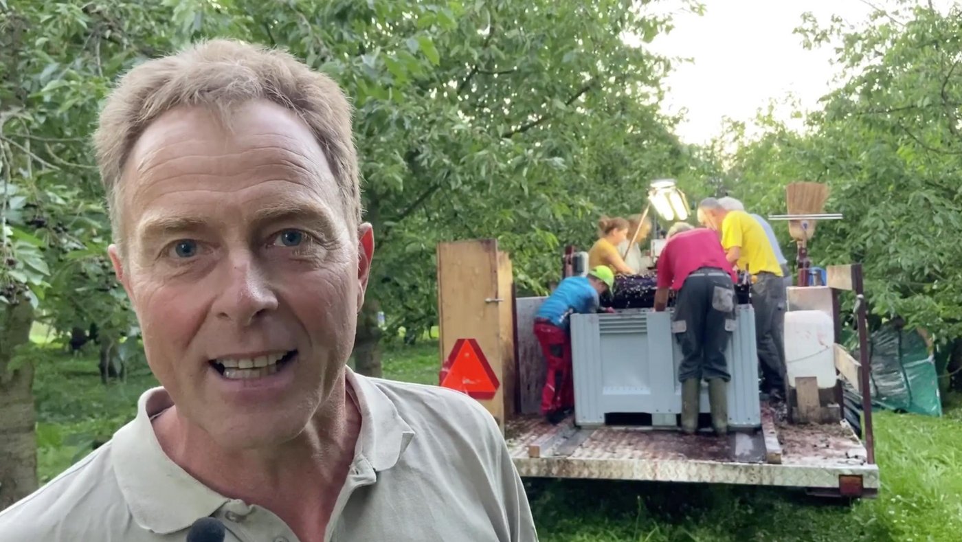 Wider Erwarten sei die diesjährige Kirschenernte sehr gut und die Qualität hoch, sagt Ruedi Obrist im Interview. (Bild akr)