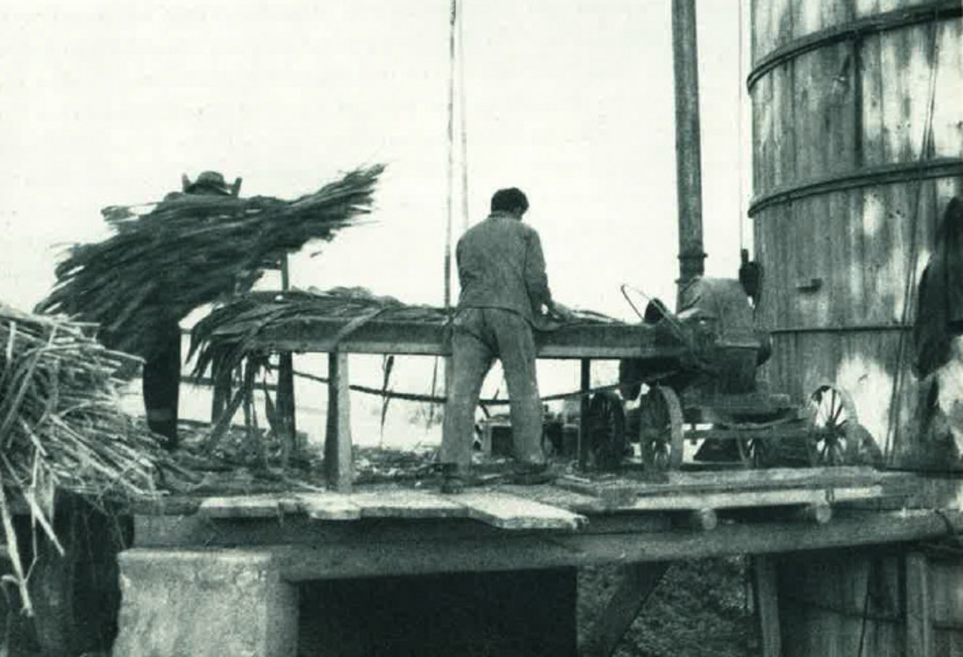 Hier wird Mais in den Silo abgefüllt.