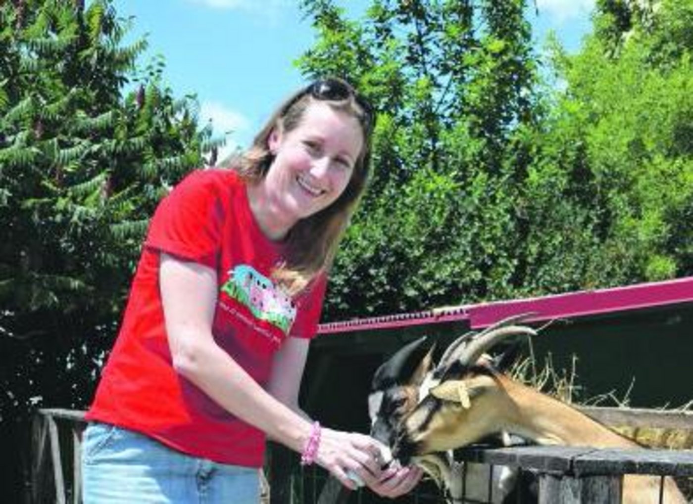 Andreea Manea beim Versorgen der Ziegen. Zusammen mit acht Angestellten kümmert sie sich um die 80 000 Besucher ihrer Kleitierfarm. Dafür ist sie an sieben Tagen die Woche täglich zehn Stunden im Einsatz. (Bild Marianne Stamm)