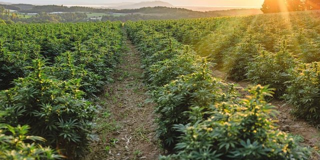 Ein Standort ohne Nebel ist von Vorteil.