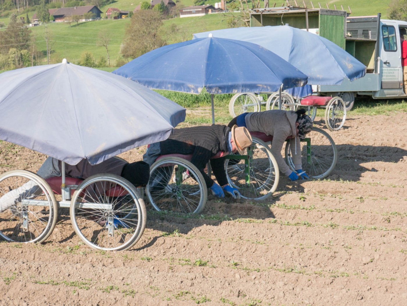 Die sogenannten Jät-Ferraris ermöglichen ein effizientes Arbeiten in einer akzeptablen Körperhaltung. (David Eppenberger)