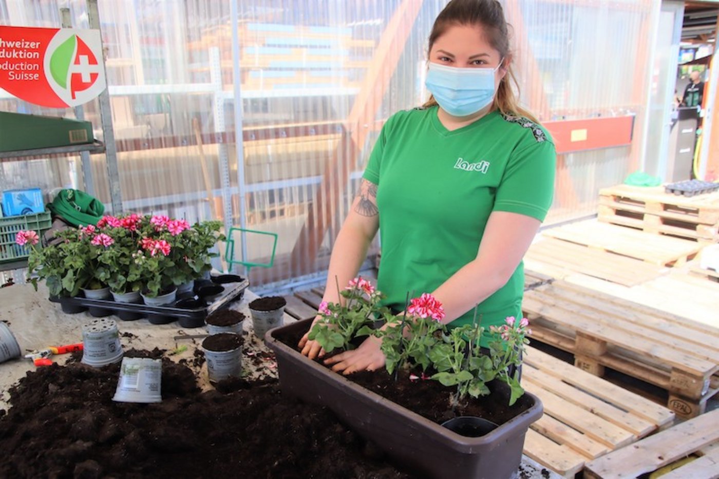 Entsprechend den Kundenwünschen sind auch Begonien eingepflanzt worden.