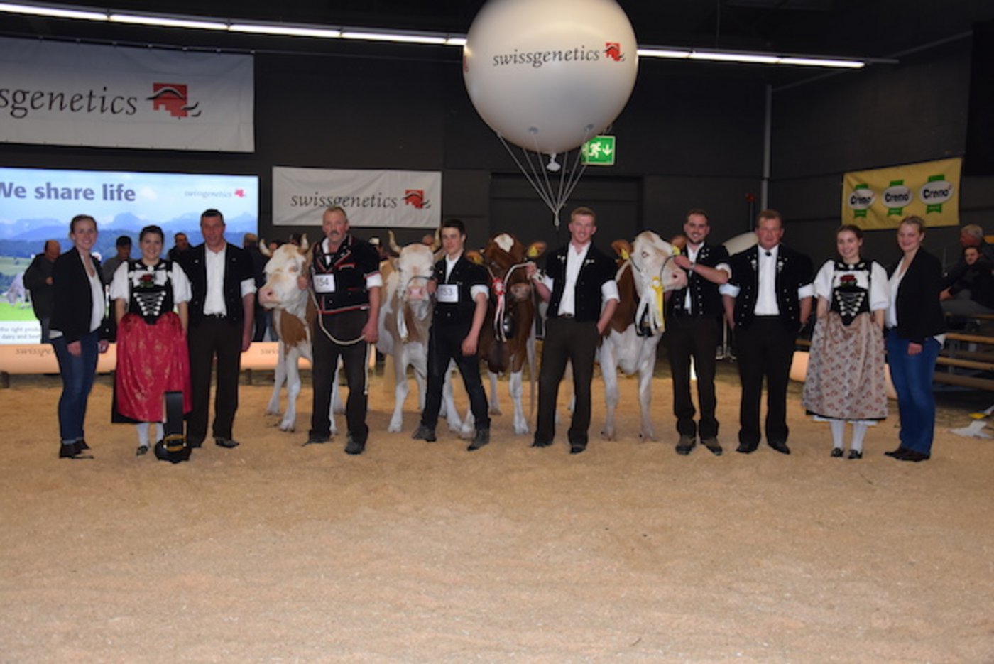 Die Senior-Missen und Senior-Schöneuter der Simmental und Swiss Fleckvieh.