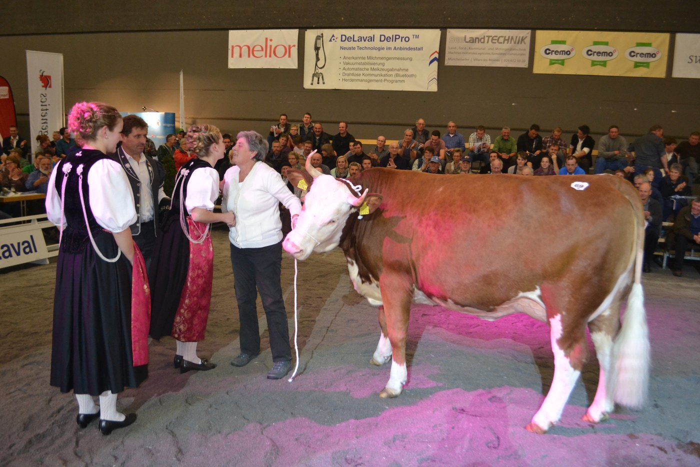 Einen speziellen Preis gab es für die Wahl der bestbemuskelten Kuh. Dieser Titel ging ins Wallis und zwar dank der Kuh Fabbio Mira von der BG Andenmatten und Bellwald aus Eisten.