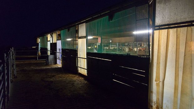 Ein Landwirtschaftsbetrieb braucht deutlich mehr Strom als ein durchschnittlicher Haushalt. Im Gegensatz zu einem leeren Zimmer kann man im Stall aber nicht ohne Weiteres das Licht löschen.