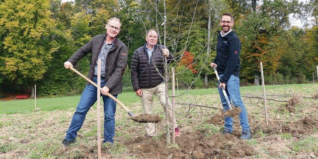 Von links: Toni Suter, Leiter Pflanzenbau, OK-Präsident Alois Huber und Ralf Bucher, Finanzen, setzten am Mittwoch auf dem ALA-Gelände einen Baum in der künftigen Obstanlage. 