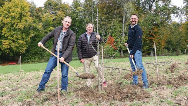 Von links: Toni Suter, Leiter Pflanzenbau, OK-Präsident Alois Huber und Ralf Bucher, Finanzen, setzten am Mittwoch auf dem ALA-Gelände einen Baum in der künftigen Obstanlage. 