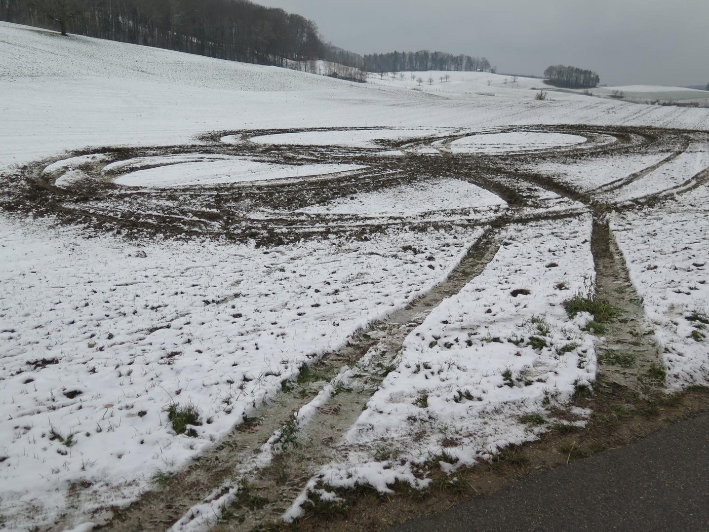 Wenn kein Haftpflichtiger genannt werden kann, bleiben die betroffenen Landwirte oft alleine auf dem ungedeckten Schaden sitzen. Kommt es jedoch zu Schäden durch jagdbares Wild, entschädigt dies unter Umständen der Wildschadenfonds. (Bild Kantonspolizei Baselland)