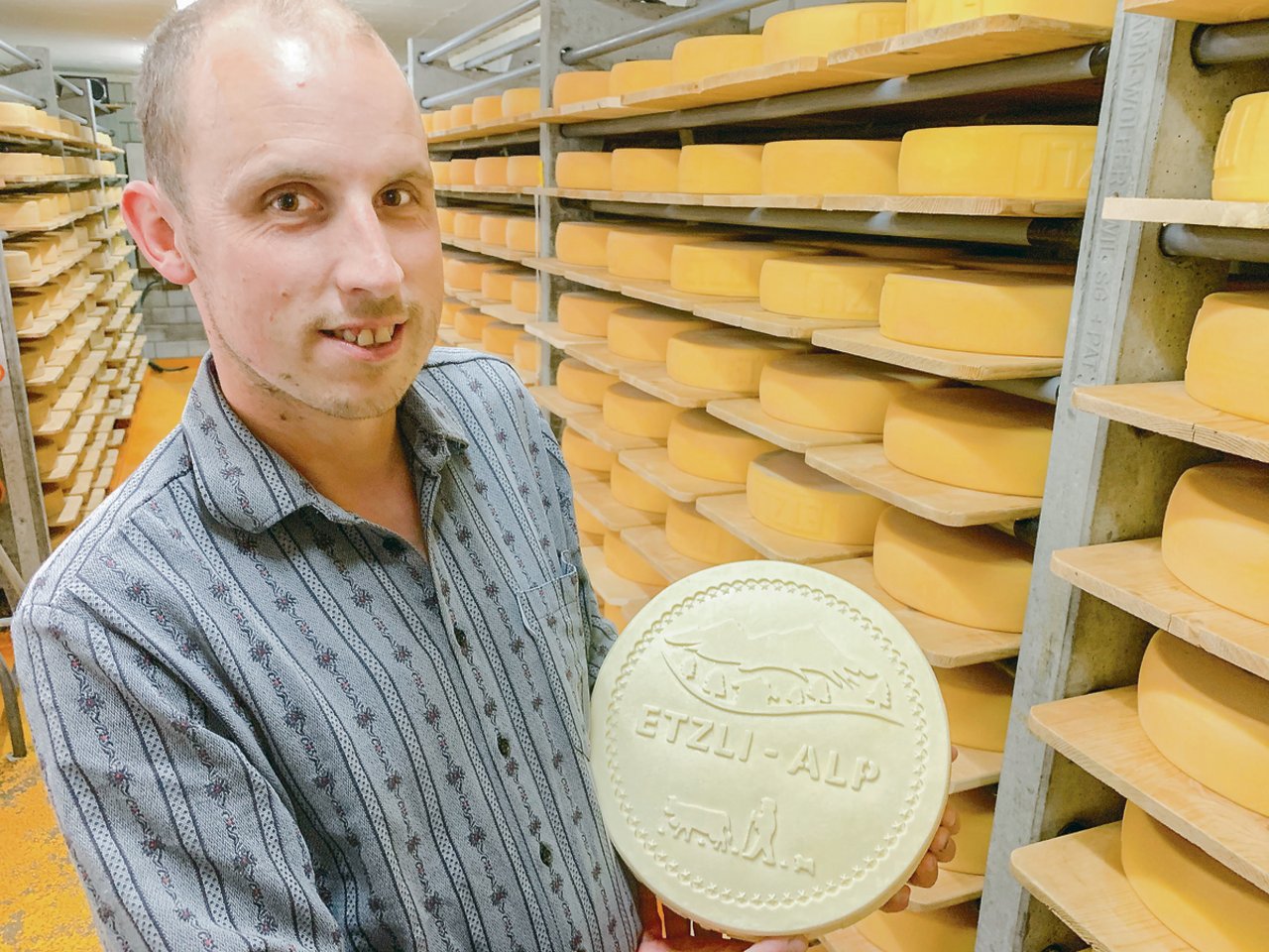 Stolz präsentiert Daniel Ulrich im Käsekeller den Etzlialp Käse, erstmals mit eigenem Siegel. (Bild Josef Scherer)
