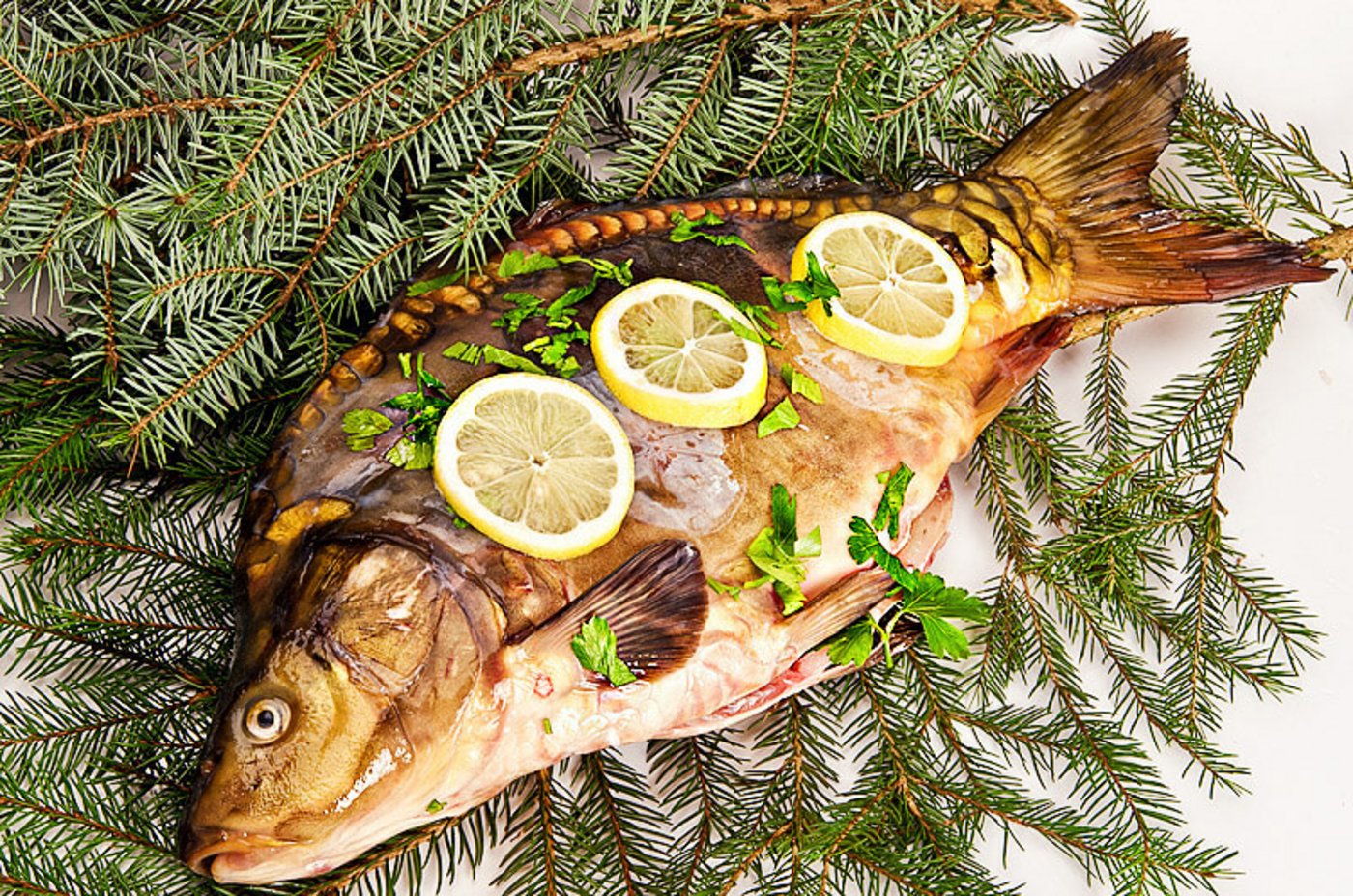 Weihnachtskarpfen wird in Deutschland und Österreich gerne gegessen. (Bild Gesund.co.at)