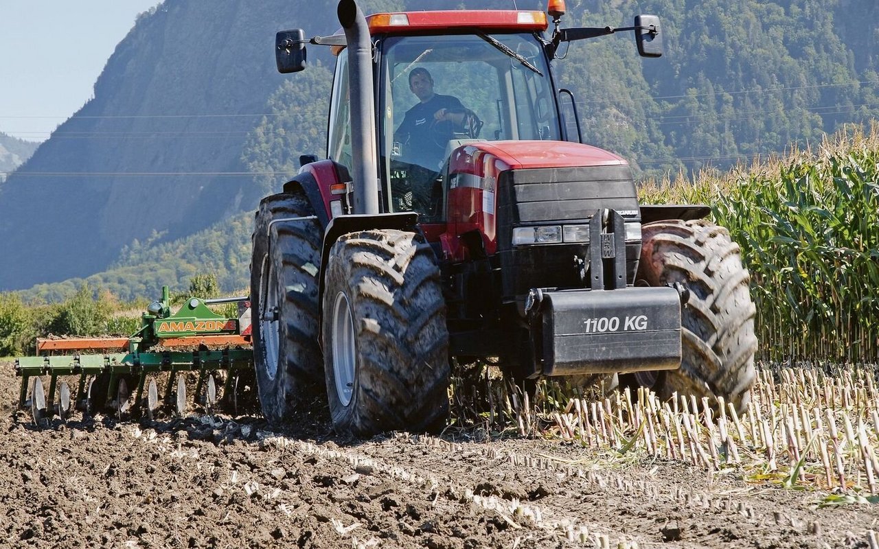 Auch nächstes Jahr wird der Maisanbau wegen Funden des Maiswurzelbohrers in vielen Gebieten der Schweiz eingeschränkt. In einigen Kantonen gilt das Anbauverbot von Mais nach Mais über das ganze Kantonsgebiet.