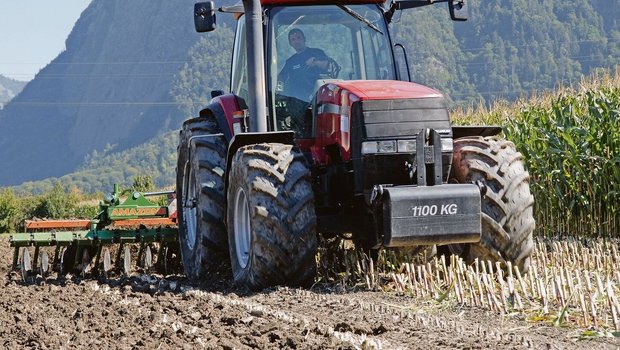 Auch nächstes Jahr w Auch nächstes Jahr wird der Maisanbau wegen Funden des Maiswurzelbohrers in vielen Gebieten der Schweiz eingeschränkt. In einigen Kantonen gilt das Anbauverbot von Mais nach Mais über das ganze Kantonsgebiet.