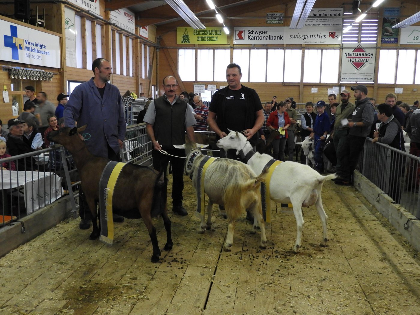 Die Besitzer der schönsten Ziegen: Kurt Pfyl, Brunnen (Saanen), Albin Ebnöther, Willerzell (Toggenburger), Franz Aebli, Mogelsberg SG (Gemsfarbig).(Bild Corina Senti)