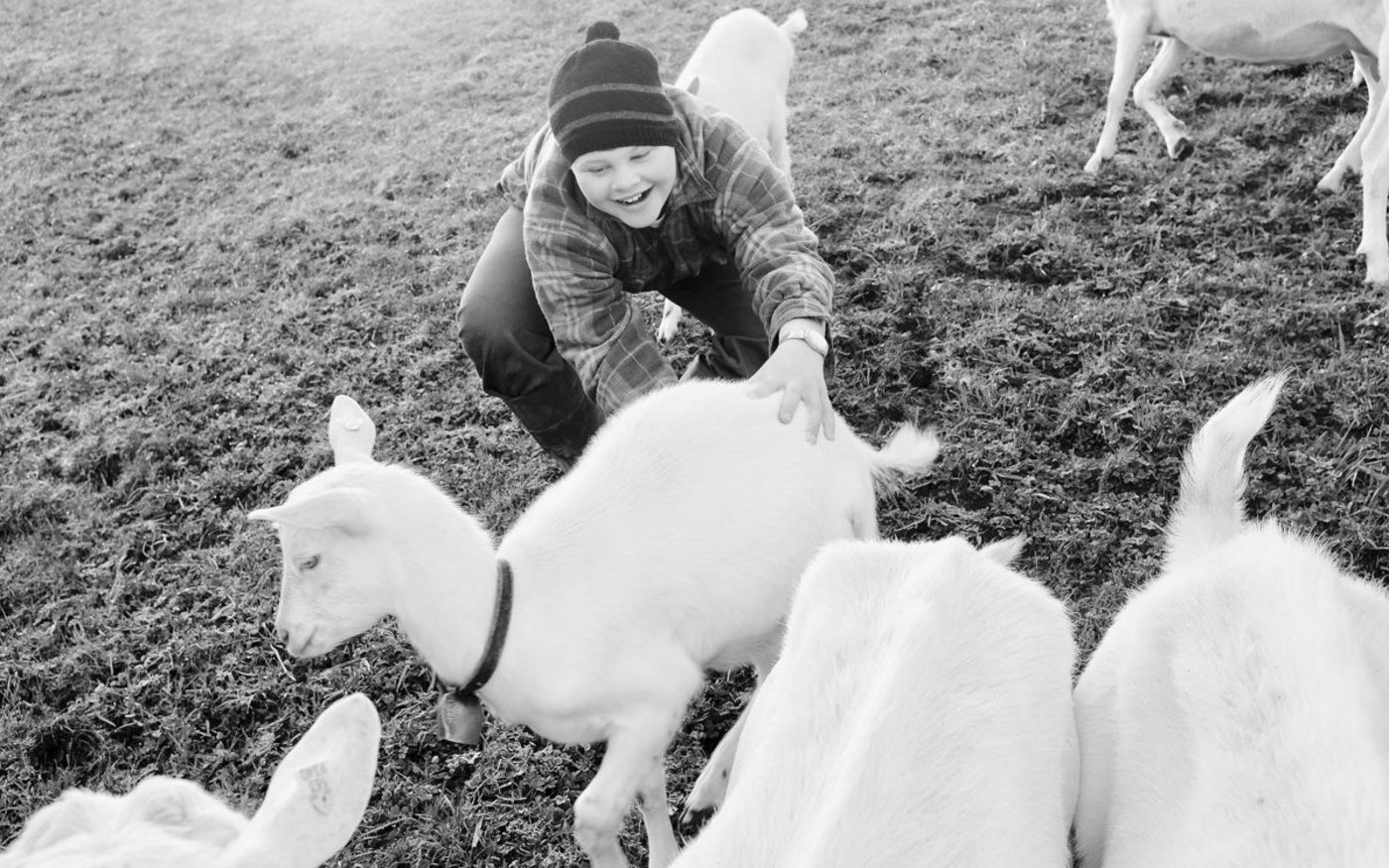 «Sie nehmen mich so, wie ich bin»: Cornelia Oberli liebt die Ziegen dafür. Zu ihnen hat sie eine ganz besondere Beziehung. (Bild Pinaki)