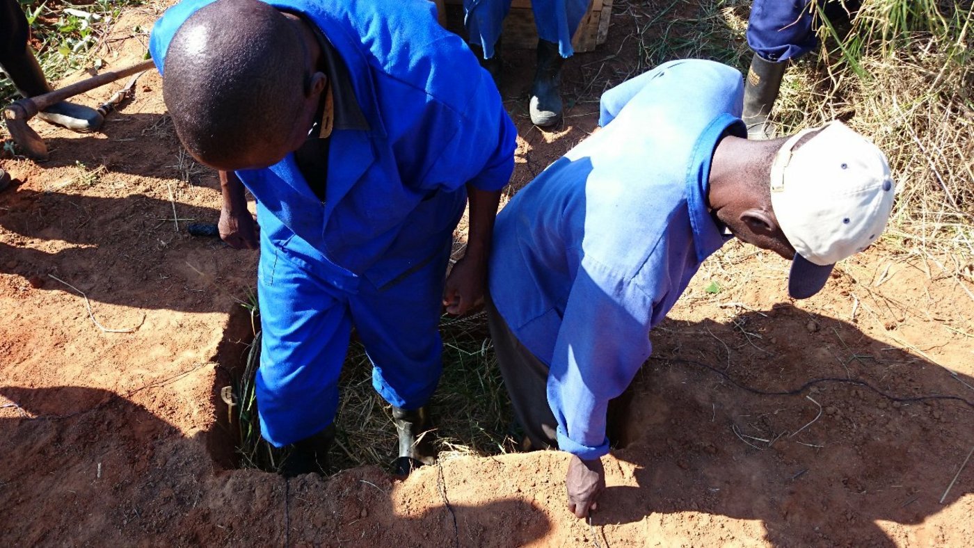 Unterdessen ist man sich einig geworden: eine Schnur längs, drei Schnüre breitwegs. Jetzt wird „gepresst“. Das nächste Problem lässt nicht lange auf sich warten: Wegen des Pressens klemmt der Heuballen im Erdloch fest, die Schnüre reissen beim herausziehen. Mit Flicken und Zuhilfenahme der Hebelkraft klappt es dann doch noch.