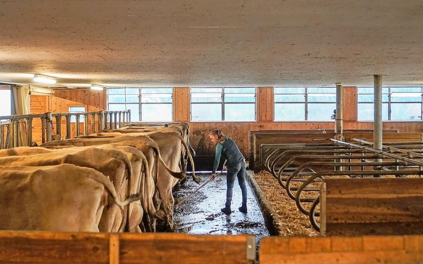 Die Ruhe bei der Stallarbeit ist für Olivia Noggler ein schöner Ausgleich. Oft hat sie den kleinen Luis dabei und erledigt dann vor allem leichtere Arbeiten. 