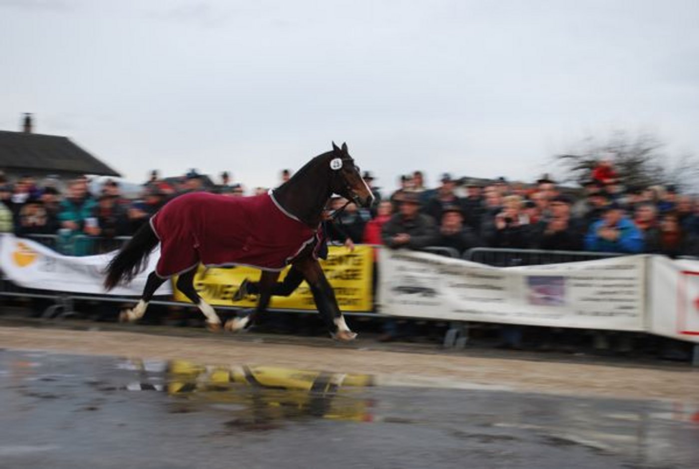 Für seinen Trab erhielt er vom Publikum Spontanapplaus.