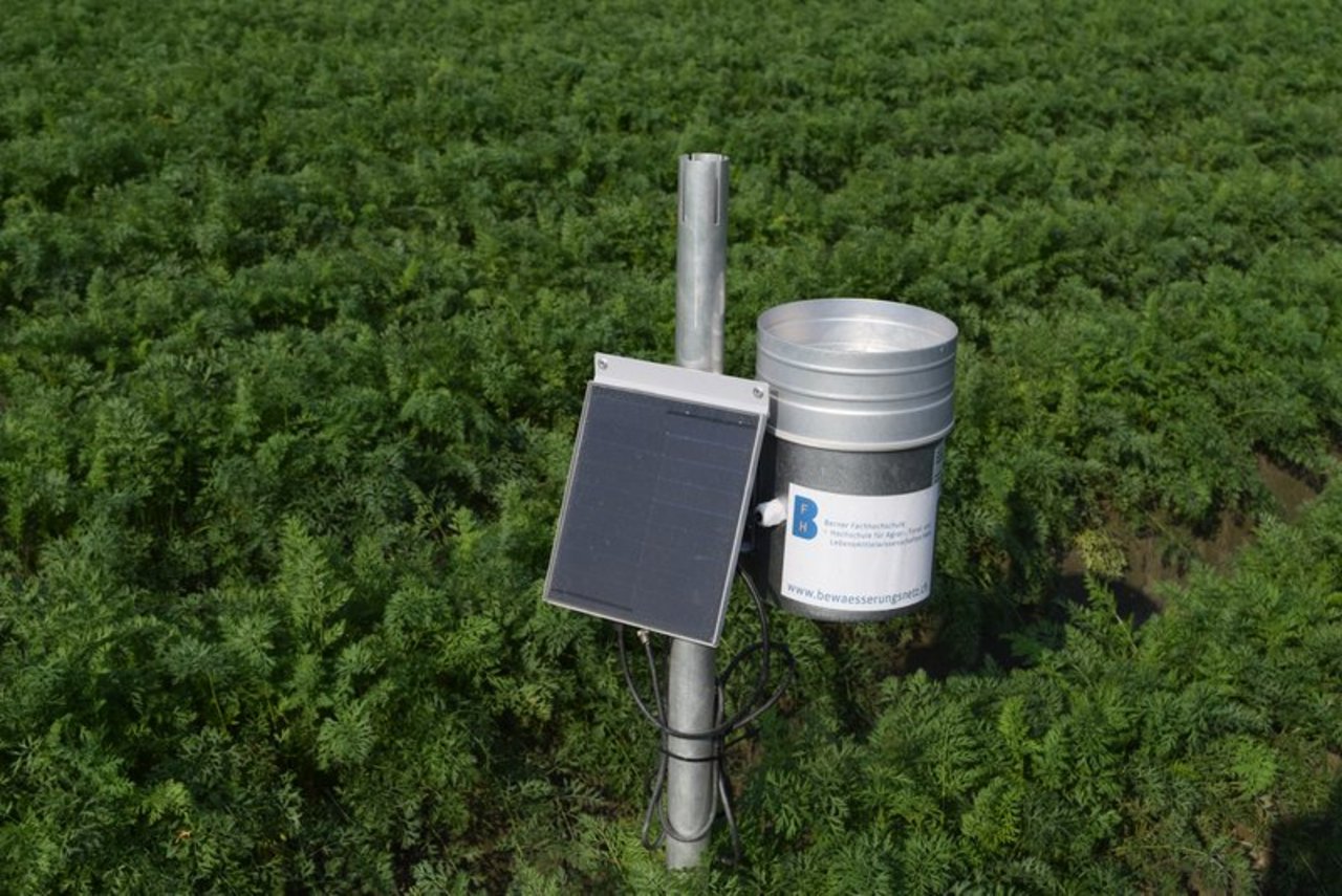 Unter anderem dank Sensoren im Boden soll die knappe Ressource Wasser effizienter genutzt werden. (Bild BauZ)