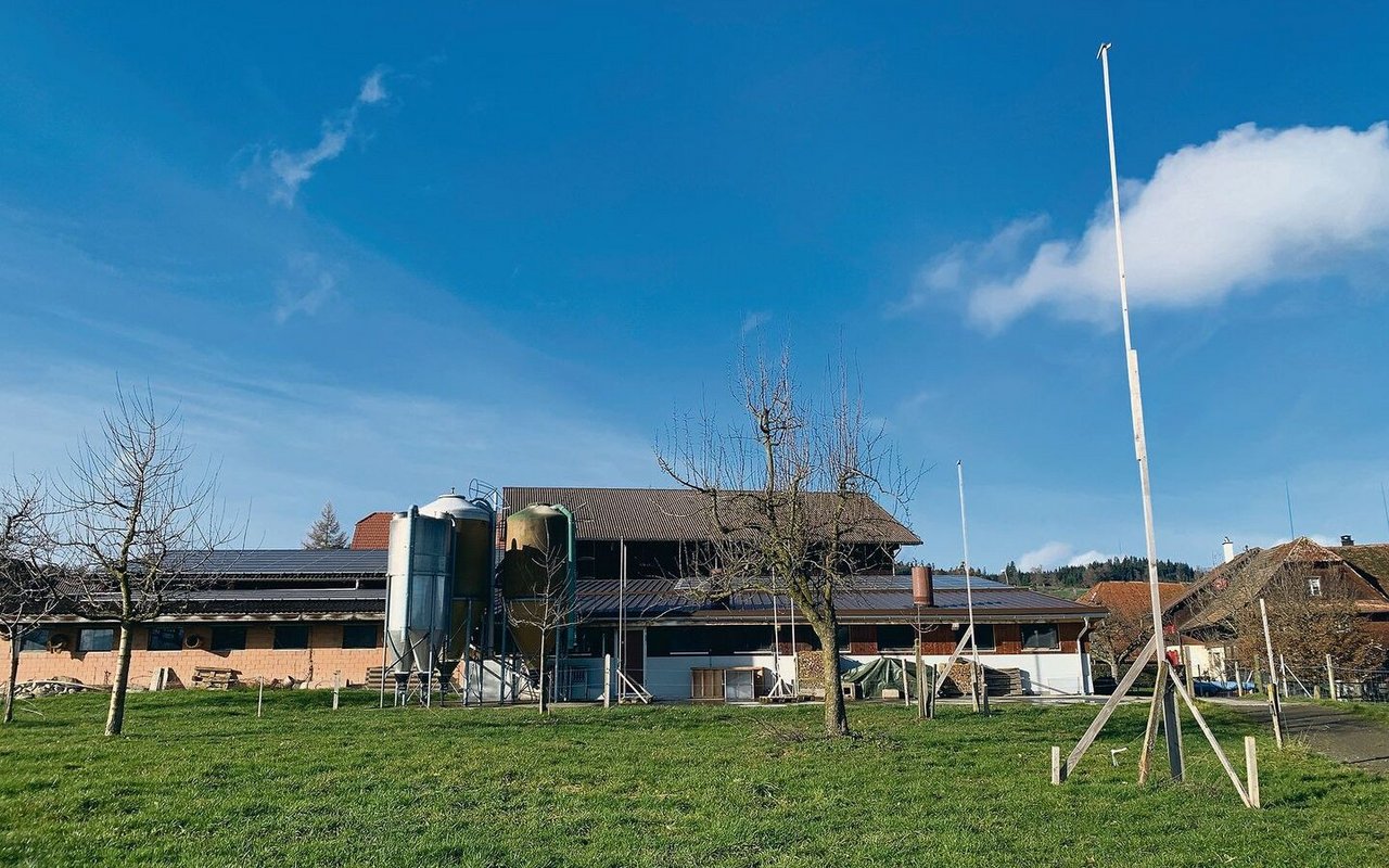 Das Areal für den geplanten Neubau der Milchviehscheune bei Landwirt X, viel weiter weg von Wohngebäuden als bisher. Im Hintergrund die Schweinescheune, wo ein Biowäscher vorgesehen ist. 