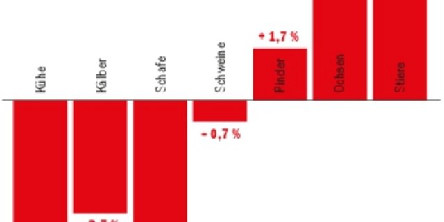 Aktuell fehlen unter anderem Kuh- und Kalbfleisch auf dem Markt. Der Kuhfleischmarkt stützt indirekt den Bankfleischmarkt.