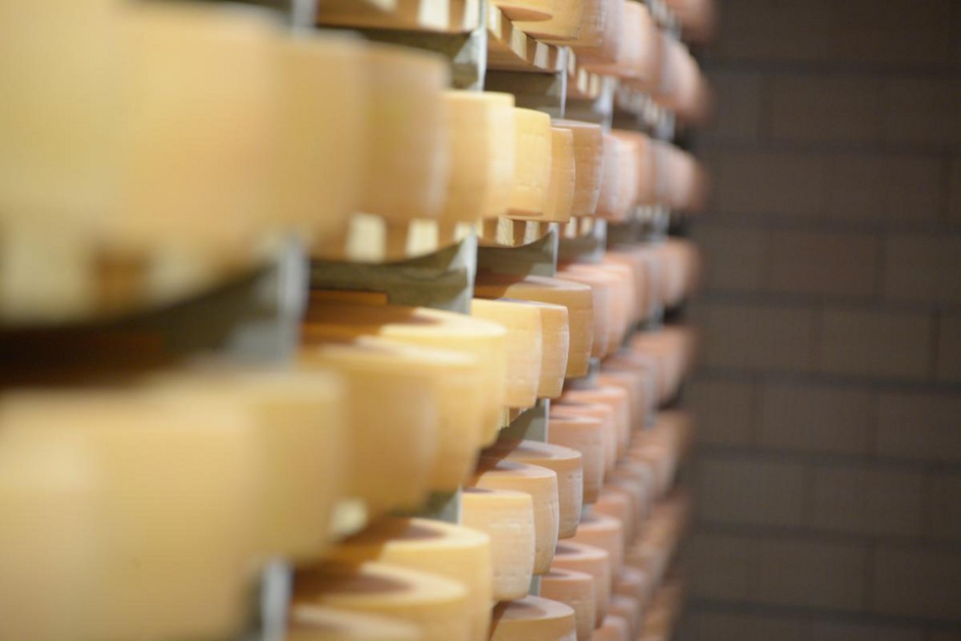 2020 kamen weltweit 31 600 Tonnen Gruyère AOP auf den Teller. (Bild BauernZeitung/Hansjürg Jäger)